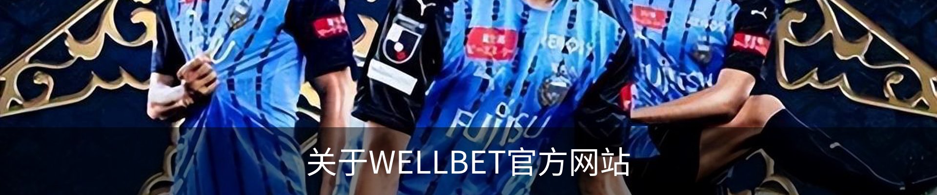 关于WELLBET官方网站